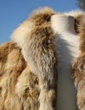 Fur Brown Light Patches Quarter Length